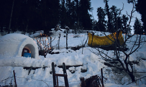 A snowy hillside with a tiny igloo nestled amidst the white landscape.